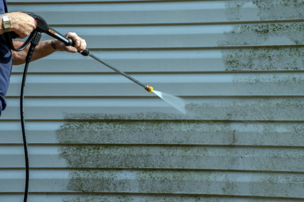 Best Soft Washing for Delicate Surfaces in West Liberty, IA